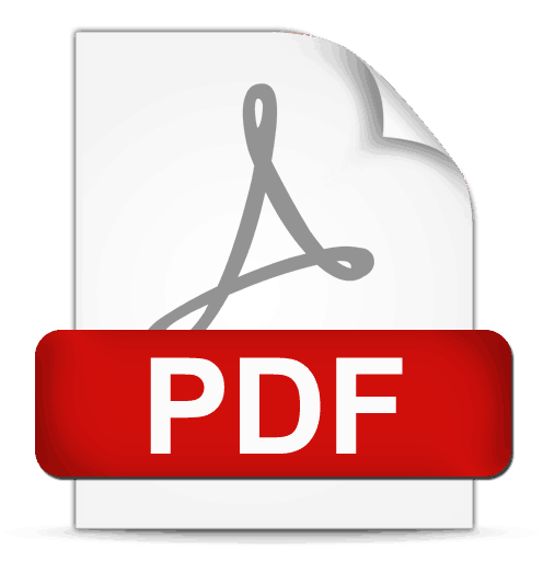 ICONO PDF