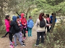 Visita a Puerto Lobo-Biologia 1ESO_13