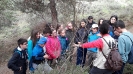 Visita a Puerto Lobo-Biologia 1ESO_5