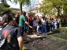 Visita Alhambra Verde 4ESO Biologia y Fisica y Quimica_11