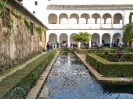 Visita Alhambra Verde 4ESO Biologia y Fisica y Quimica_3