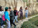 Visita Alhambra Verde 4ESO Biologia y Fisica y Quimica_4