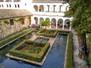 Visita Alhambra Verde 4ESO Biologia y Fisica y Quimica_6