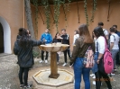 Visita Alhambra Verde Informatica 1SMR y 1BACH