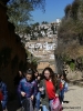 Visita Alhambra y Cartuja 2eso_11