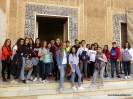 Curso 2018-2019