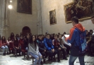 Visita Alhambra y Cartuja 2eso_5