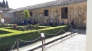 Visita 2ESO Alhambra y Cartuja_14