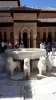 Visita 2ESO Alhambra y Cartuja_6