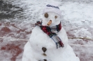 Nieve 2020_15