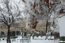 Nieve 2020