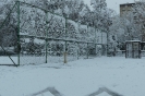 Nieve 2020_1