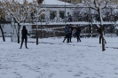 Nieve 2020_2