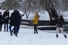 Nieve 2020_4