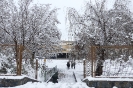 Nieve 2020_6