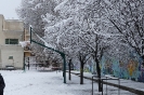 Nieve 2020_8