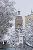 Nieve 2020_9