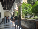 Viaje a Sevilla 3ESO