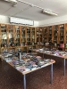 feria libro 22-23_3