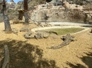 tabernas_13